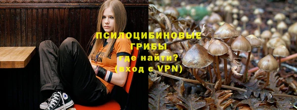 MDMA Верхний Тагил