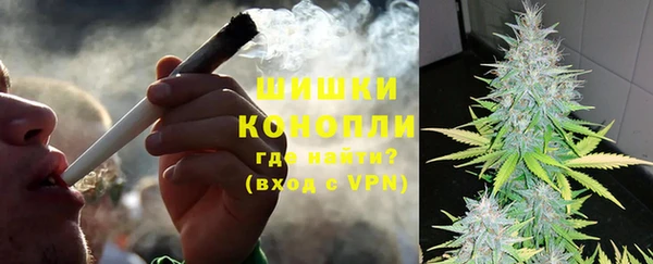 Альфа ПВП Верея